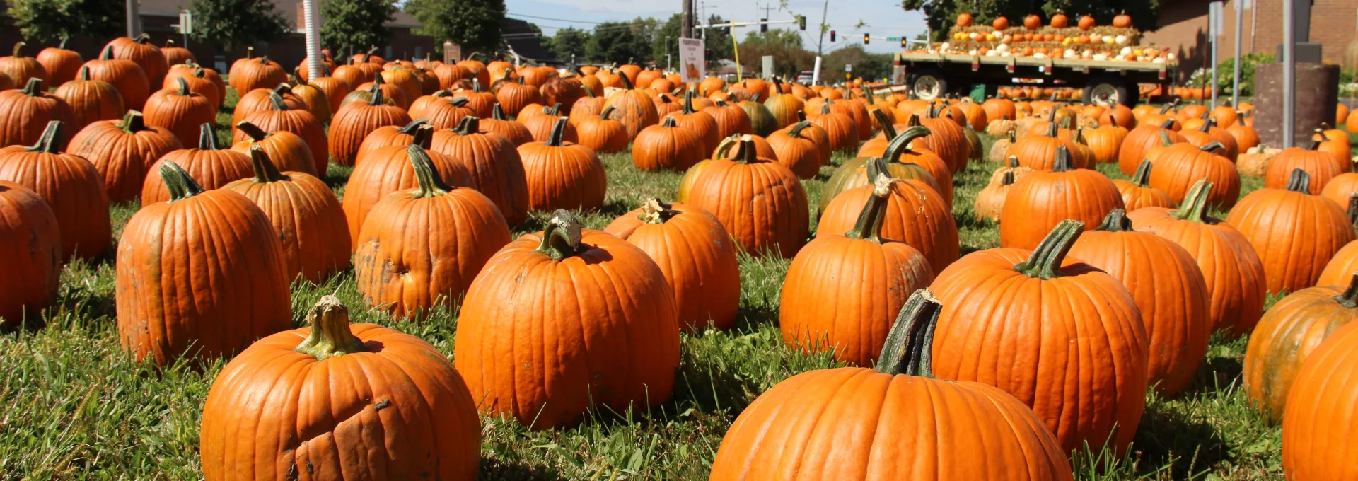 Pumpkins