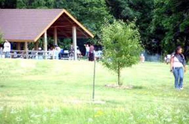 People having a picnic at one of the Chester Woods Park picnic shelters
