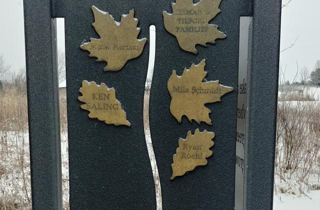 Leaves on Legacy Trail Panel