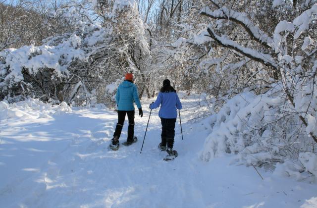 Snow Shoeing & Cross Country Skiing