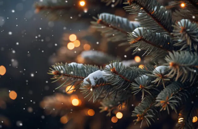 Employers of Olmsted Light Festival (E.L.F.)