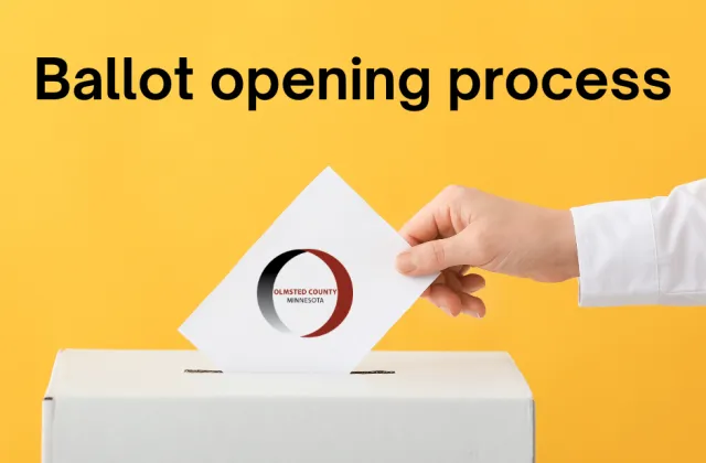 Election security: How absentee ballots are safely opened and counted 