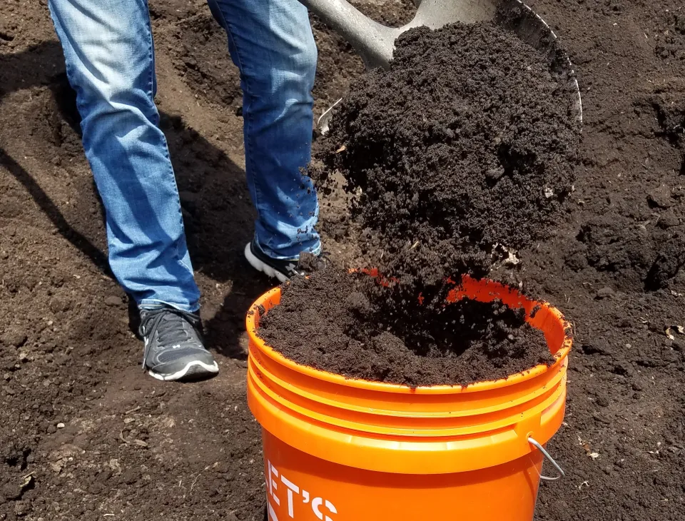 person pouring finished compost in a bucket