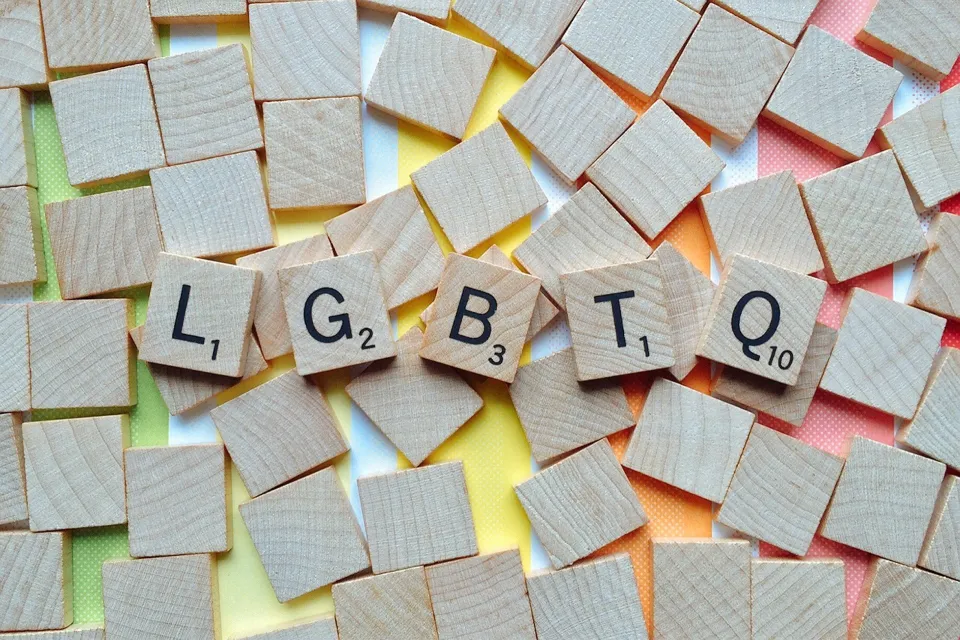 Olmsted County issues resolution supporting conversion therapy ban in Minnesota