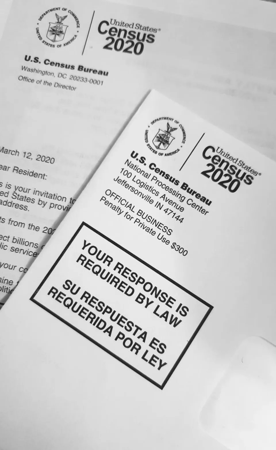 Olmsted County 2020 Census Complete Count Committee presents campaign results