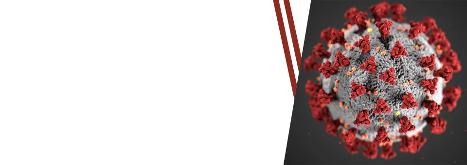 covid banner image white