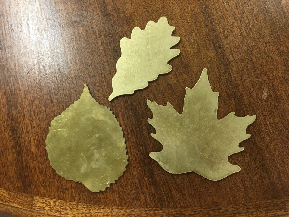 plain leaves bronze leaves
