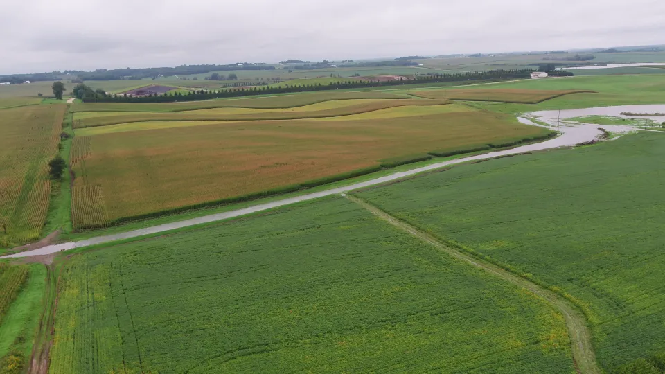 Grass waterway conveying water after a storm event.