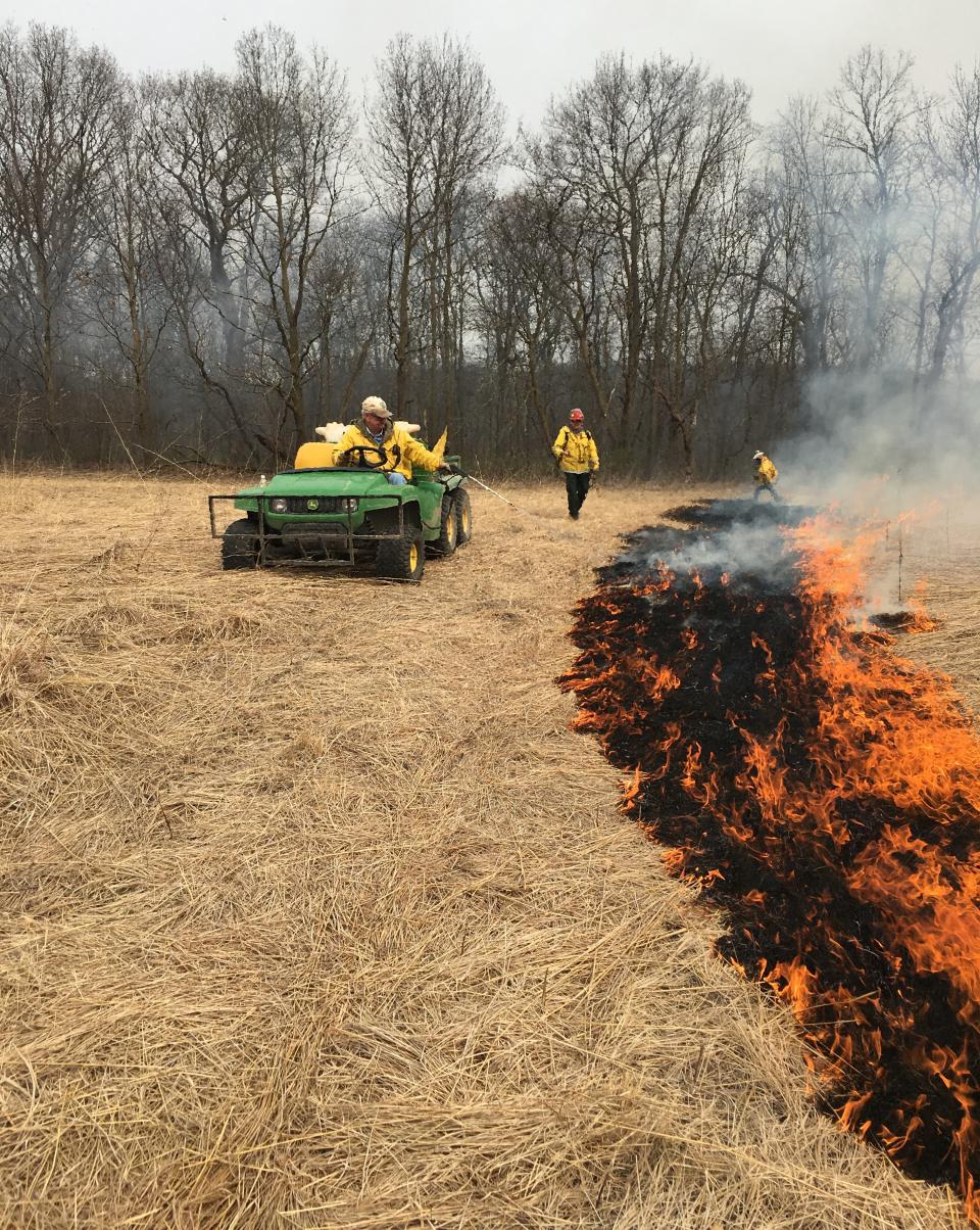 Prescribed Burns at Olmsted County Parks
