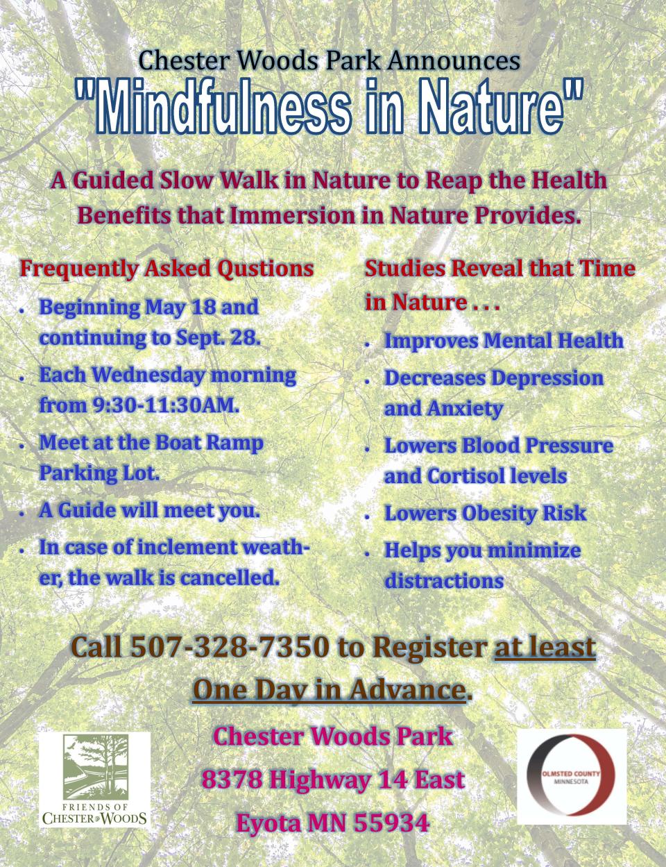 Mindfulness in Nature Poster
