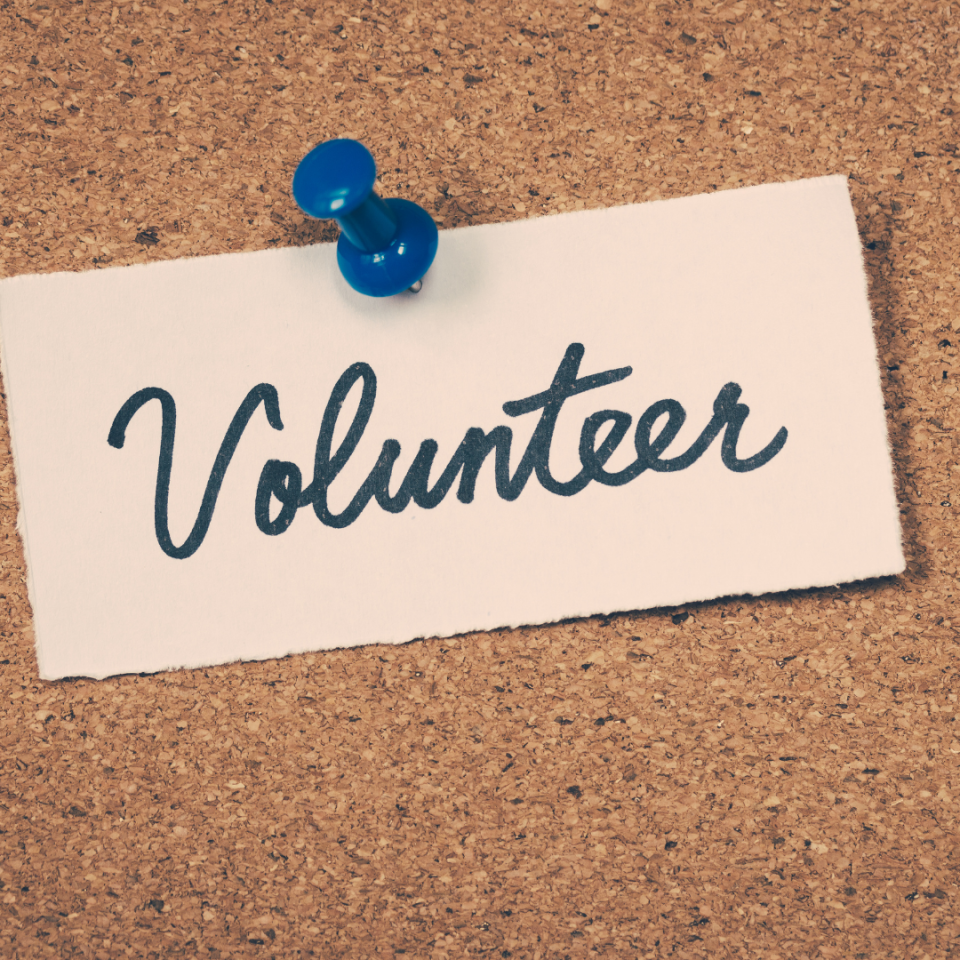 Volunteer on an Olmsted County advisory board or commission