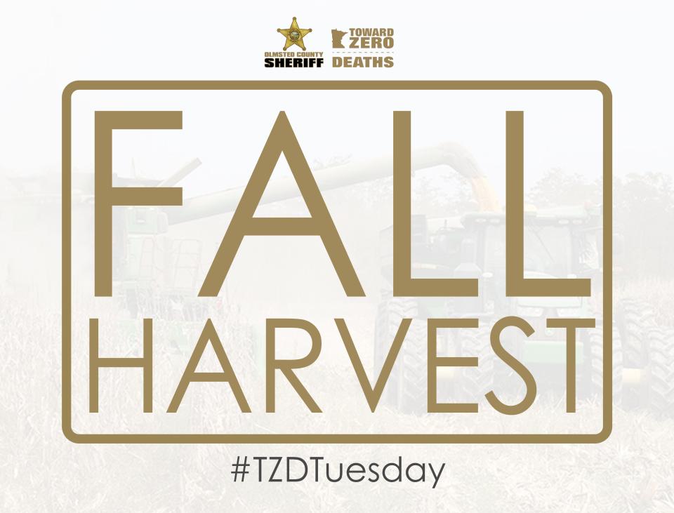 TZD Tuesday Fall Harvest
