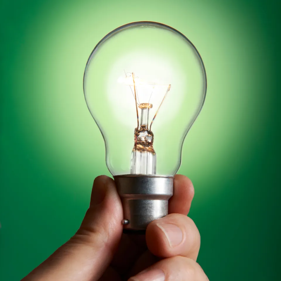 Olmsted County and City of Rochester Join “Operation Green Light” in Support of Veterans Day