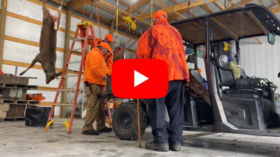 YouTube thumbnail of the 2022 DAV Deer Hunt. A veteran standing next to an ATV, with Parks employees helping with the deer.