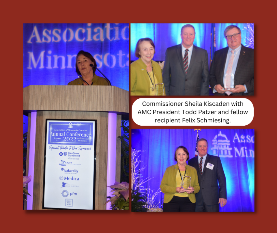 Commissioner Sheila Kiscaden receives AMC Award.