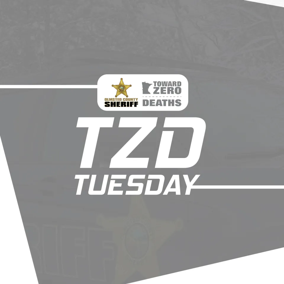 #TZDTuesday: Happy New Year!