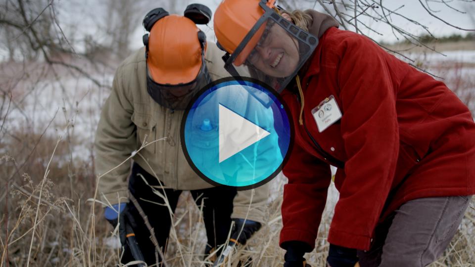 New video! Volunteer with Olmsted County