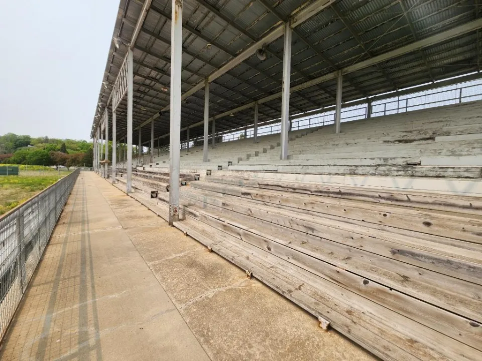 grandstand at Graham Park