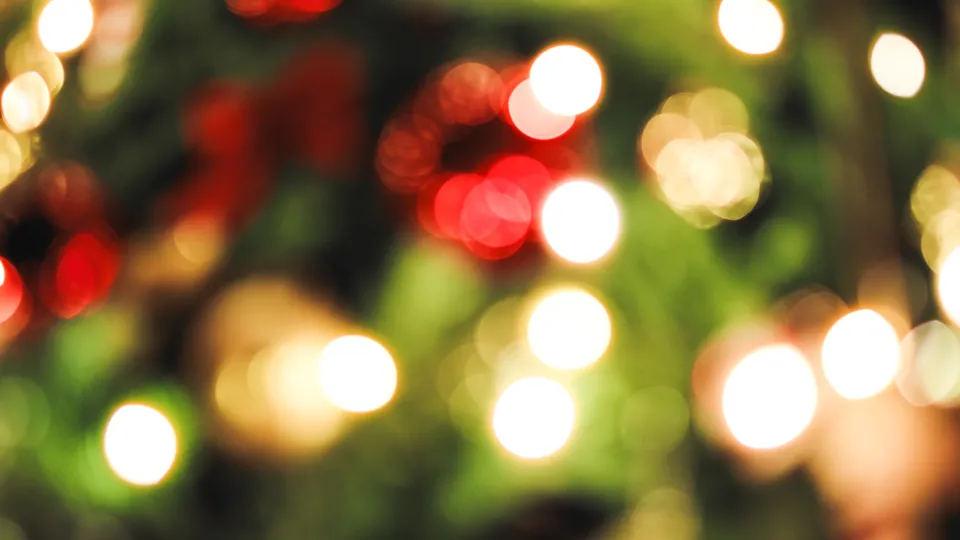 A DWI is no holiday: Planning a safe and sober ride can help keep your celebration joyful