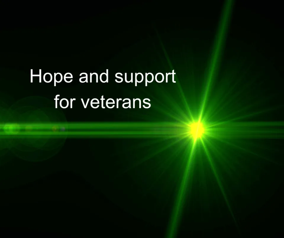 Join Olmsted County for “Operation Green Light” in support of Veterans Day