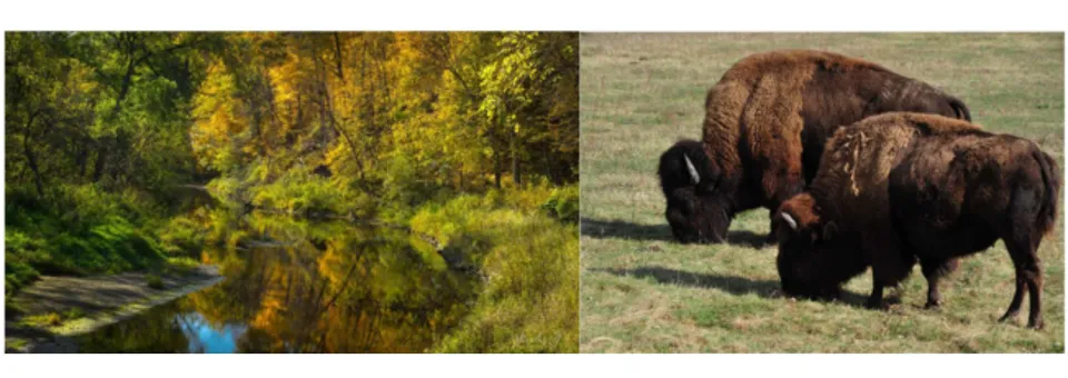 Oxbow Park & Zollman Zoo