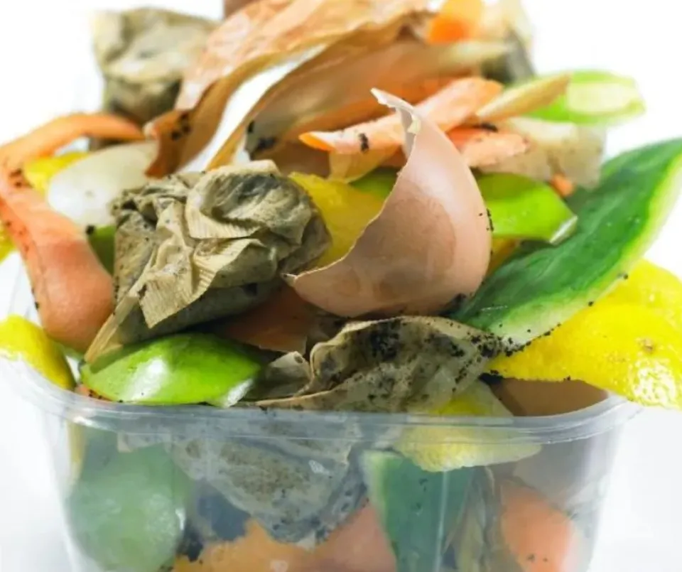 Food scraps in a dish