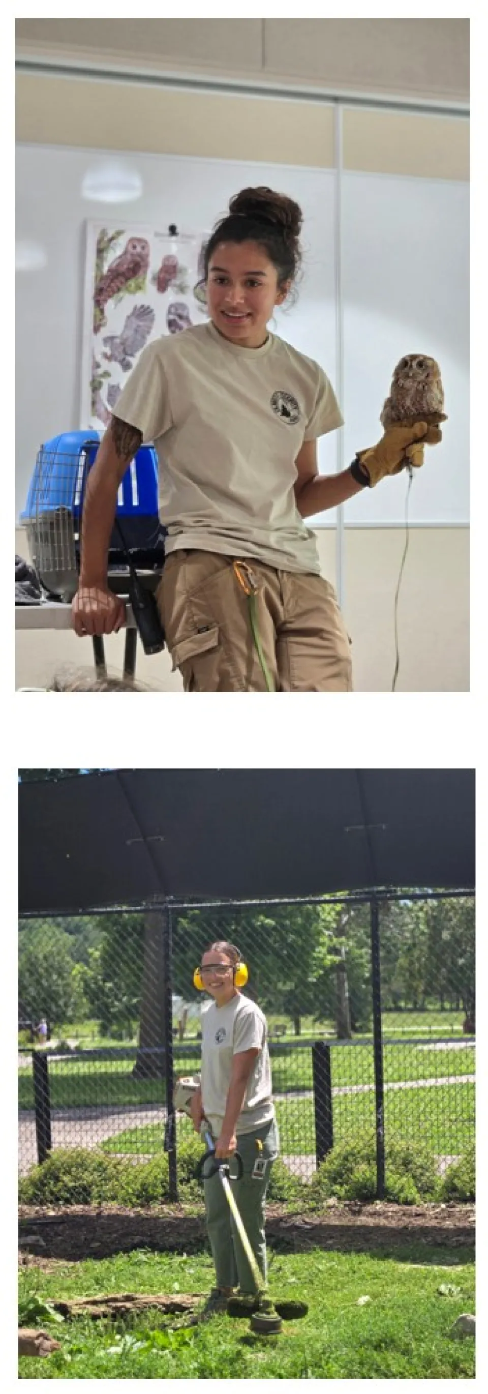 summer interns