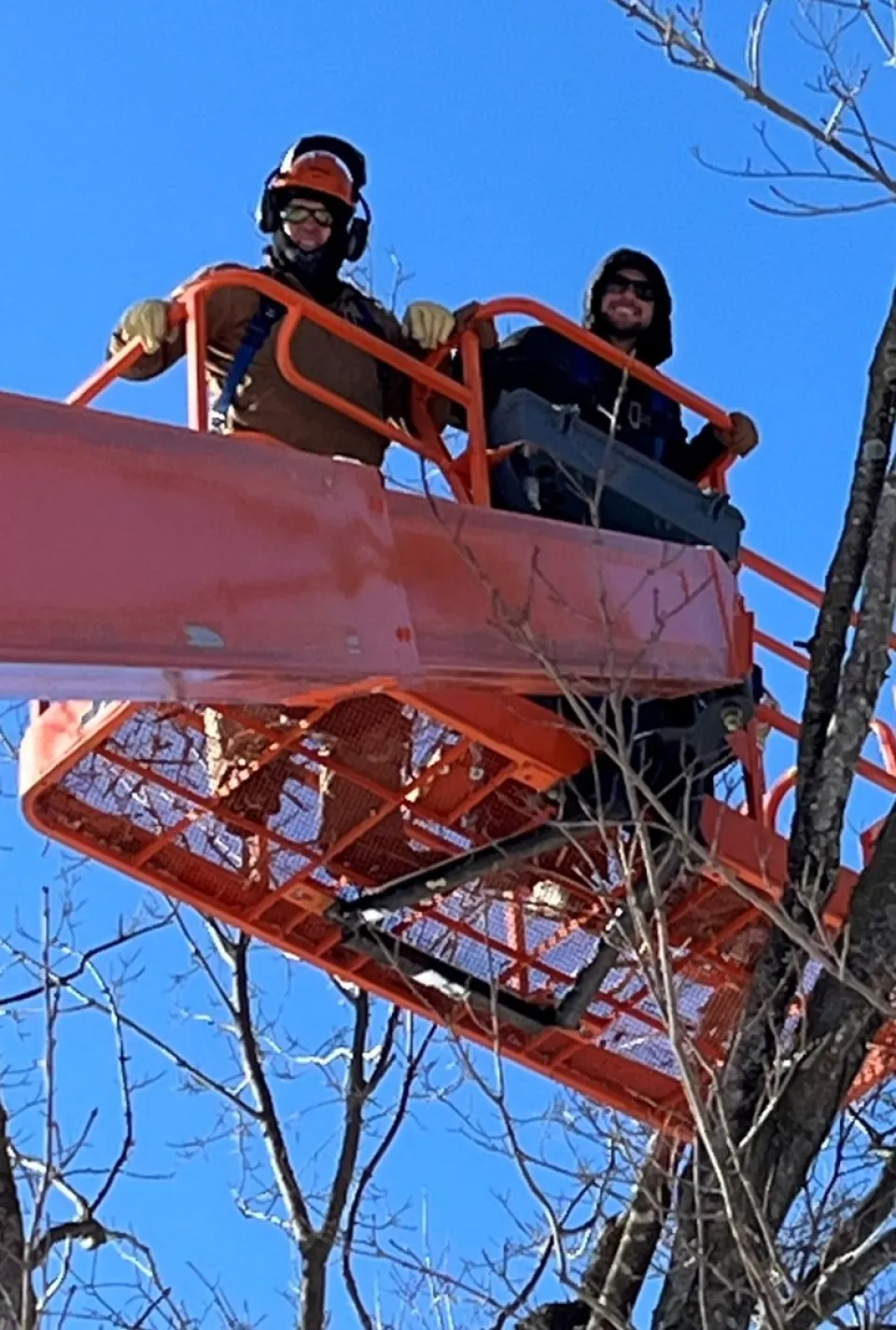 Members of Sentence to Serve in a lift trimming trees