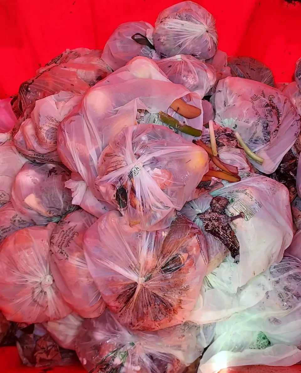 Food Scraps in BPI certified Bags 