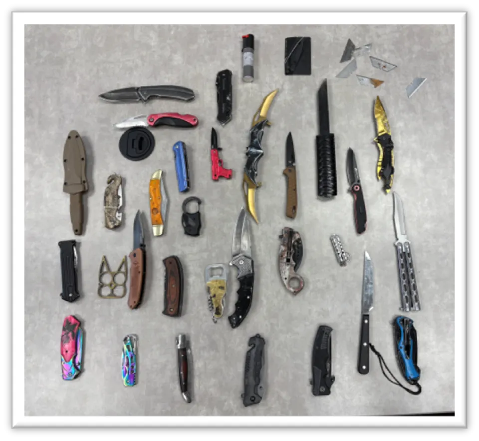 A photo of the weapons seized at the government center in 2025