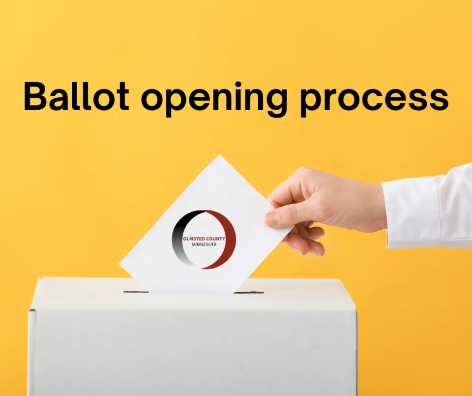 Election security: How absentee ballots are safely opened and counted 