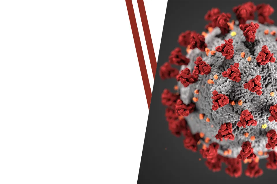 covid banner image white