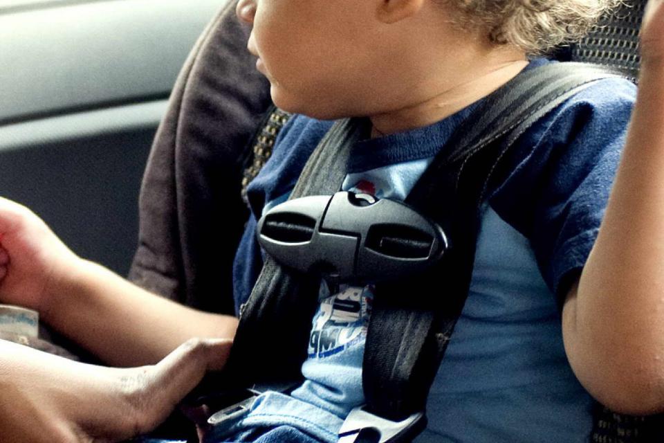 Young Child in Car Seat