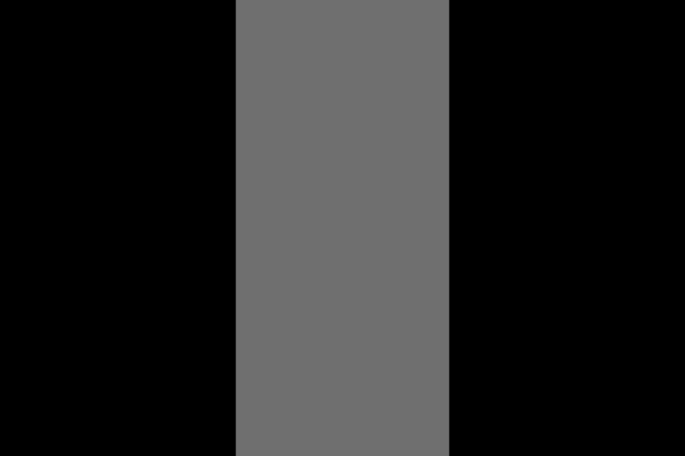 Thin Silver Line 