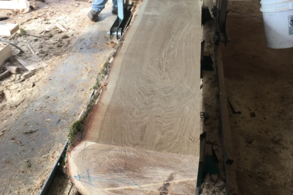 Oxbow Sawmill