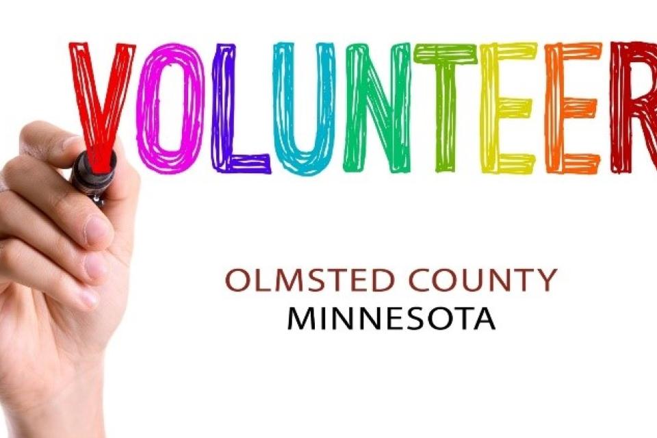 Volunteer in Olmsted County