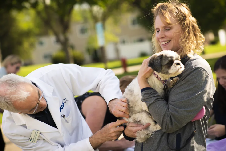 A woman holds her dog while a veterinarian gives the dog a rabies vaccine
