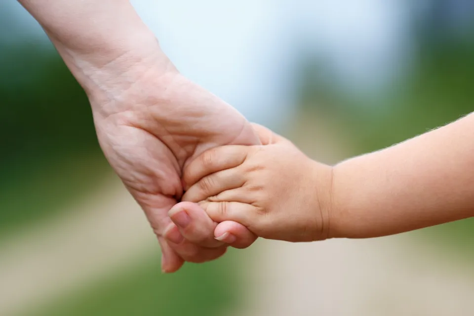Adult and child holding hands