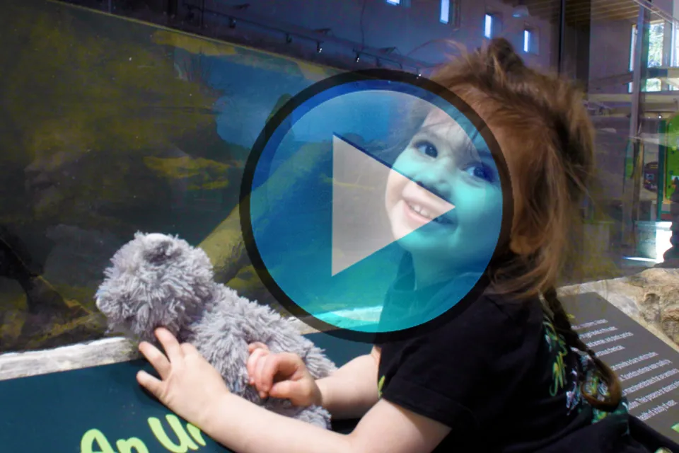 Video still with a play button for Olmsted County's Oxbow Park nature center video