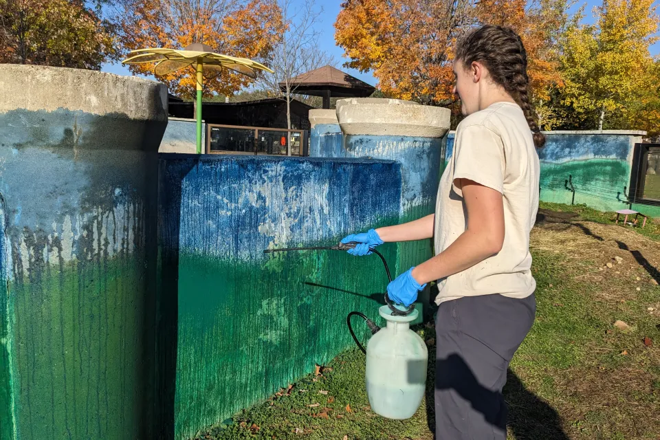 Annika painting the Badger exhibit