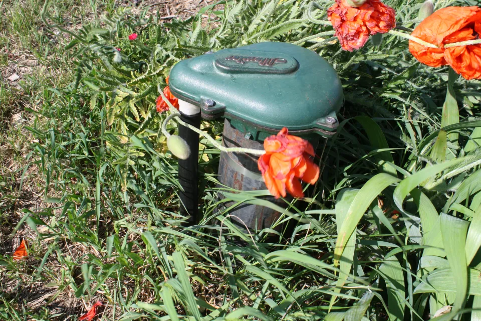 Wellhead in Oronoco