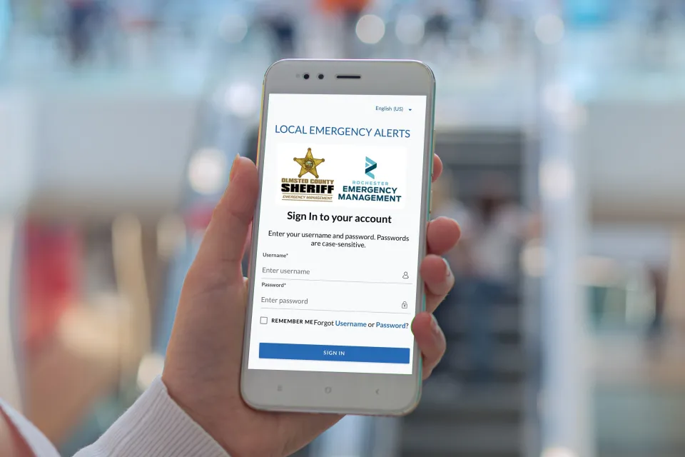 Person using smartphone