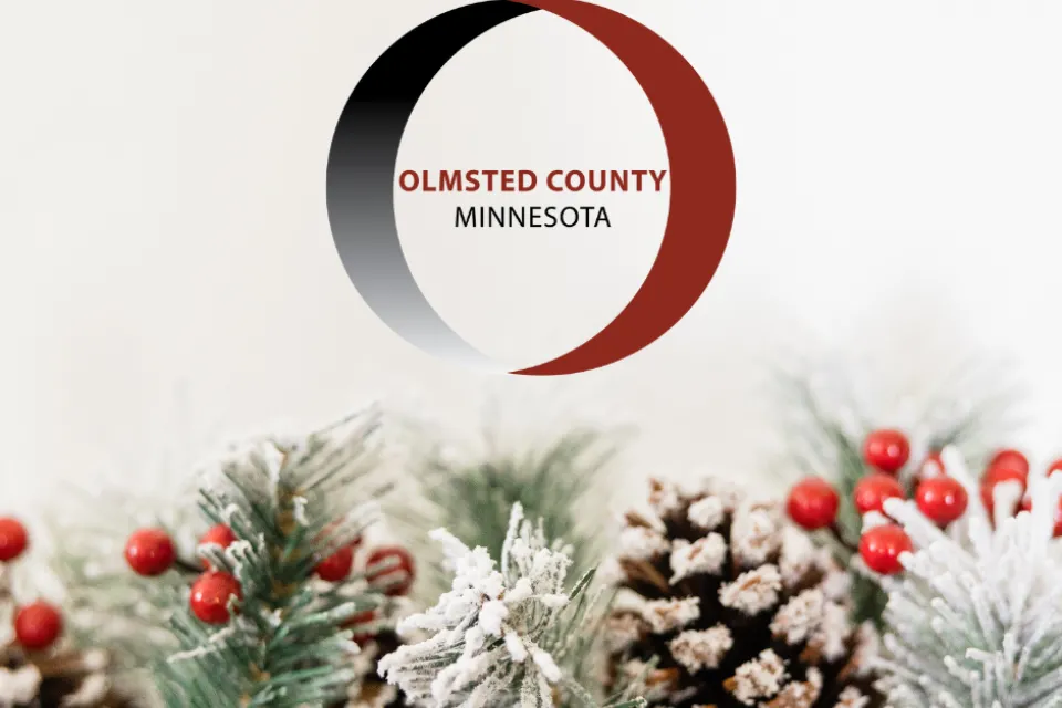 Olmsted County logo overlay on winter tree